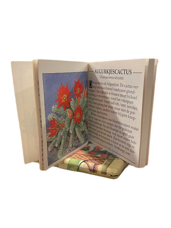 klein oud boekje over planten en bloemen