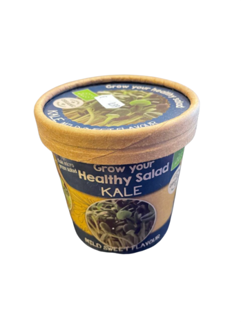 Grow Your healthy salad Kale 